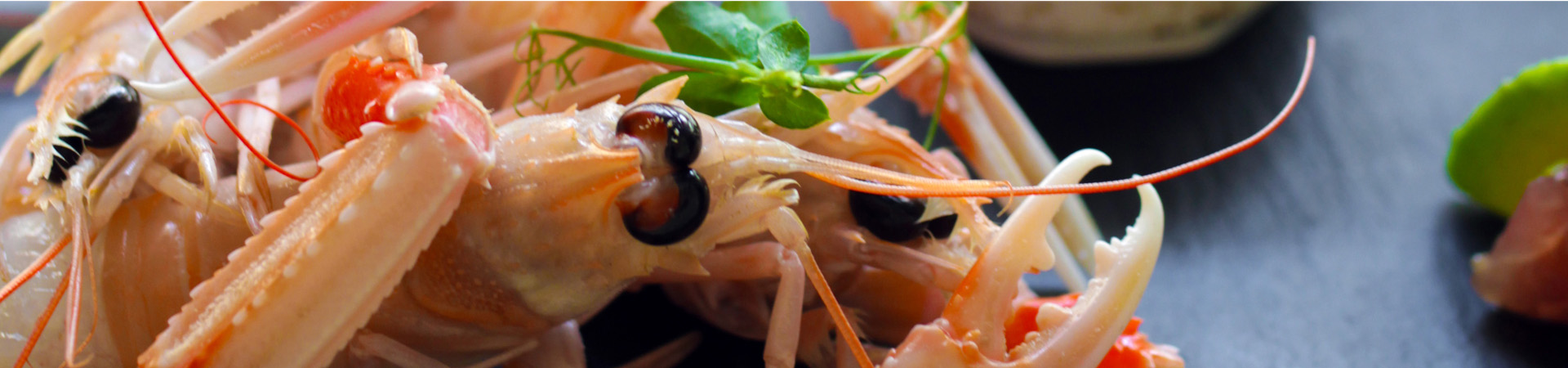 immagine_web_menu_crudo
